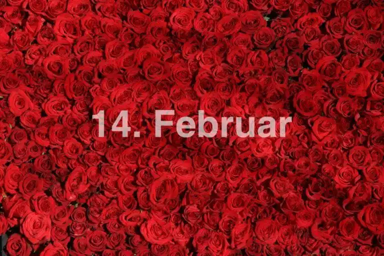 Die schönsten Blumen zum Valentinstag