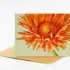 Fleurop-Karte <BR/>„Orange Gerbera“<BR/>