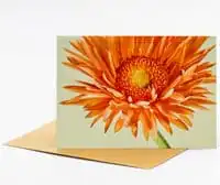 Fleurop-Karte <BR/>„Orange Gerbera“<BR/> 1 Fleurop-Karte <BR/>„Orange Gerbera“<BR/>