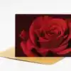 Karte „Edle rote Rose“