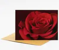 Karte „Edle rote Rose“