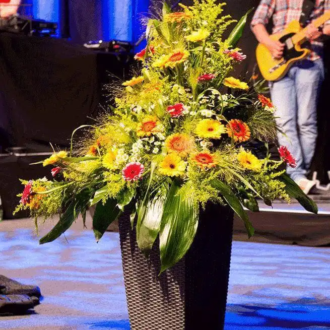 lako 2016 hagen small