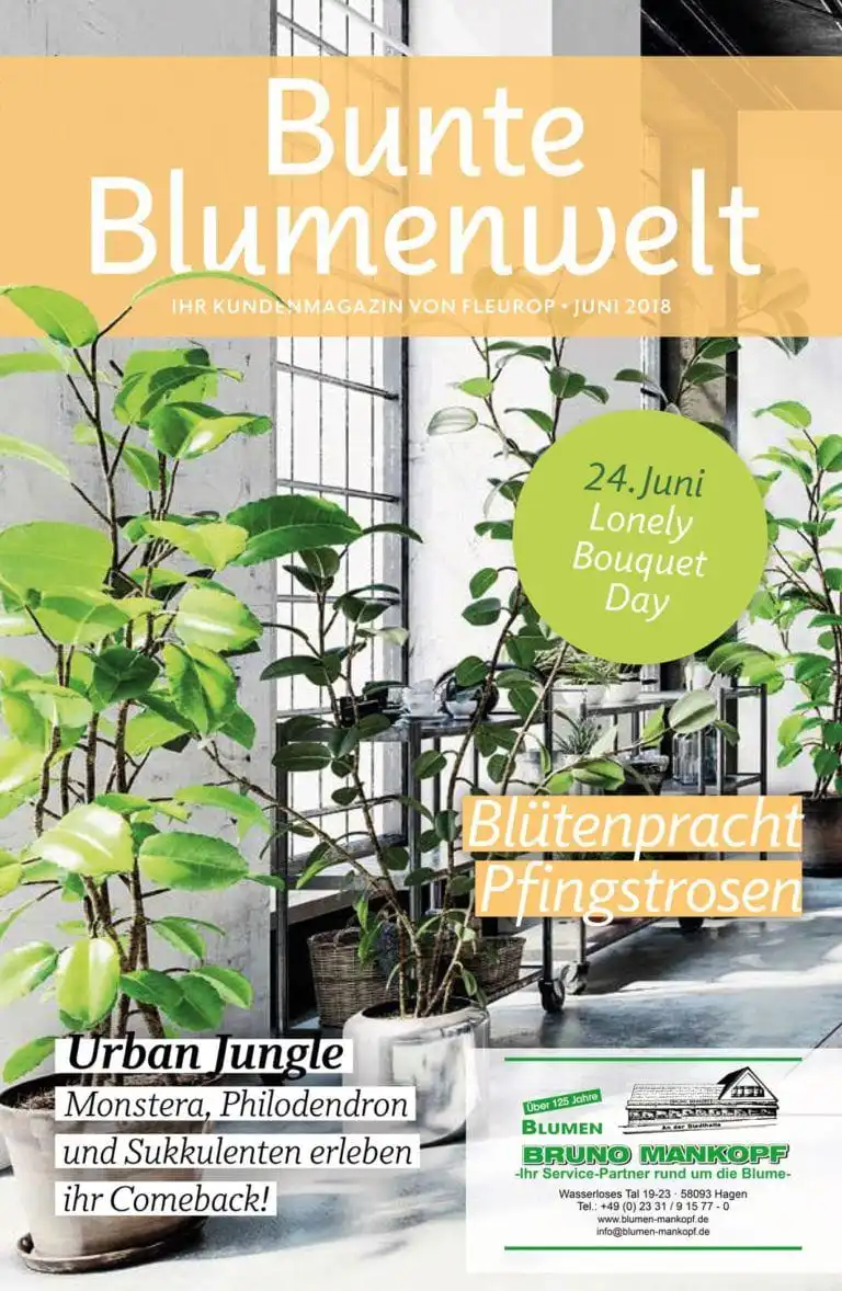 Bunte Blumenwelt Juni 2018