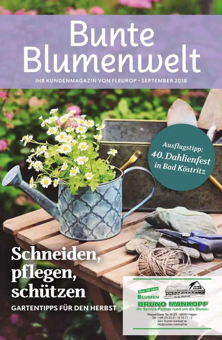 Bunte Blumenwelt September 2018