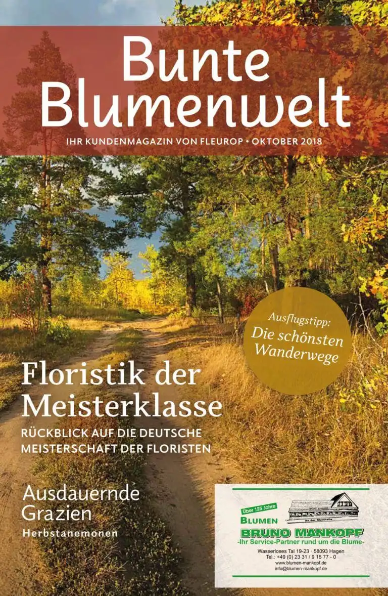 Bunte Blumenwelt Oktober 2018