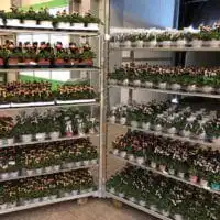 48921907 2138439706207348 5692008724462305280 o