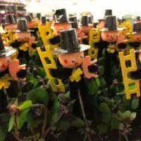 49161249 2138439692874016 8917140666786512896 o