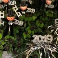 49495948 2138439789540673 4116598747306131456 o