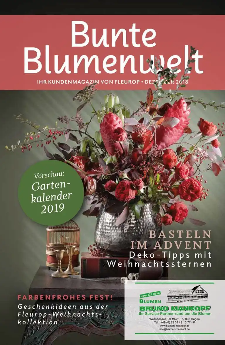 Bunte Blumenwelt Dezember 2018