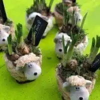 50981265 2186891538028831 6234966026027532288 o