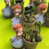 51351556 2186891478028837 7184315813199872000 o