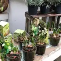 51464678 2186891531362165 5232430121230532608 o