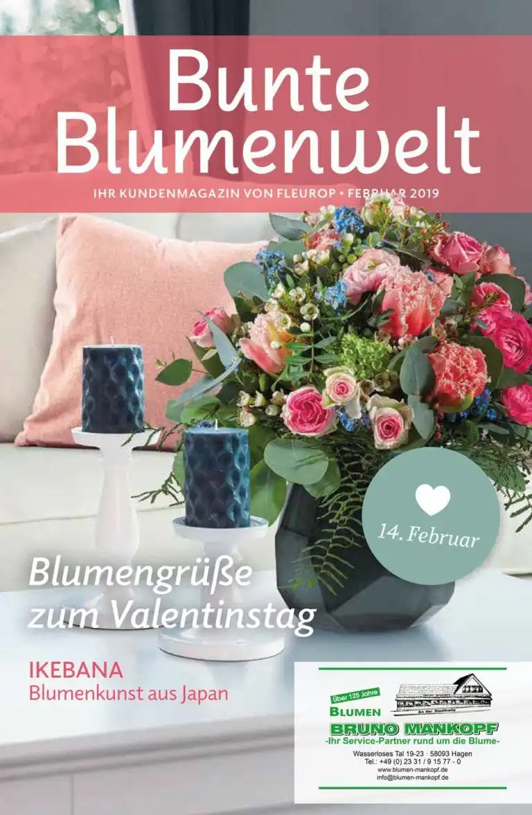 Bunte Blumenwelt Februar 2019
