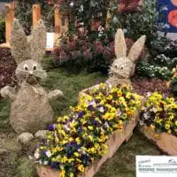 IMG 7994 e1555095914141