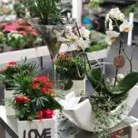 Pflanzung Muttertag 6