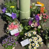 65314992 2425421684175814 7243737707942248448 n