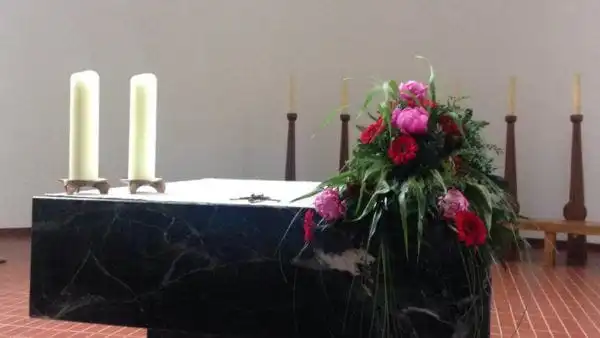 cd2d12ba 6941 4441 8a09 d67a117c7507