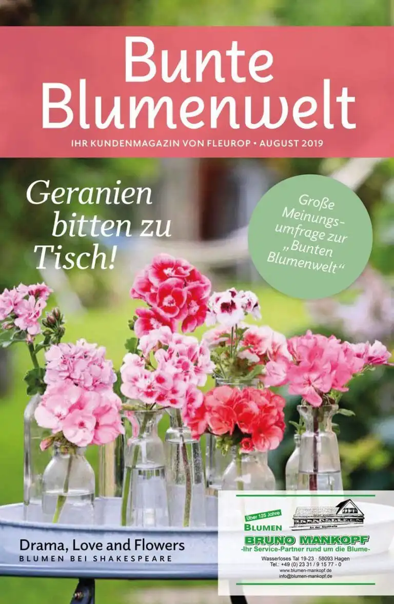 Bunte Blumenwelt August 2019