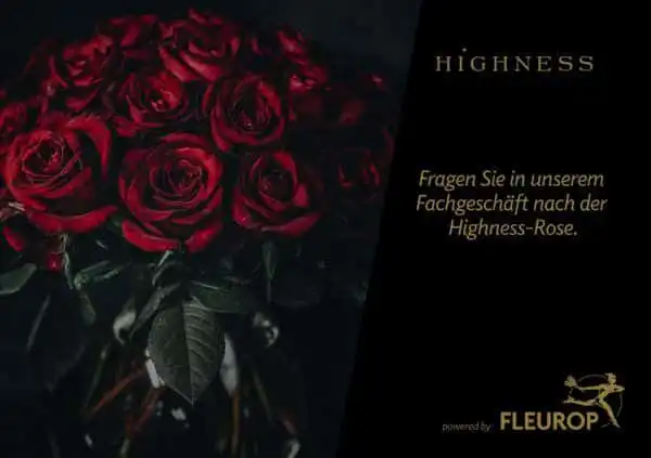 FLEU Highness Facebook V02