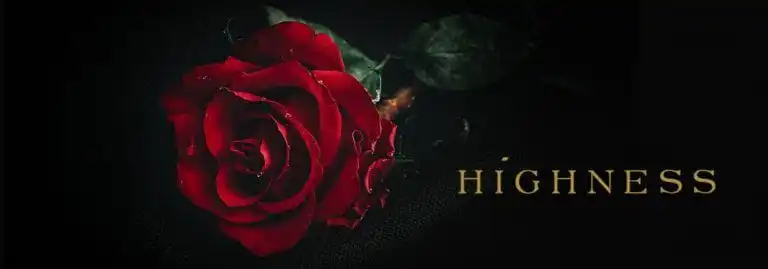 Fairtrade Rose „Highness“