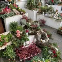 73122211 2666869476697699 955133853989601280 o