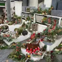 73143808 2666869586697688 501568711778369536 o