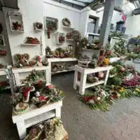 73232852 2666869143364399 2194802380736823296 o