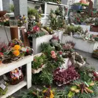 73388548 2666869360031044 5565891923257851904 o