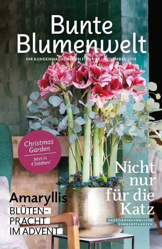 Bunte Blumenwelt November 2019