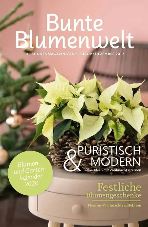 Bunte Blumenwelt Dezember 2019