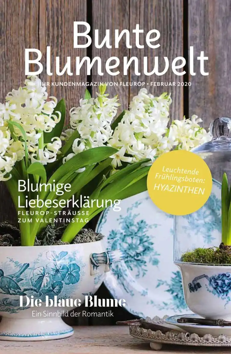 Bunte Blumenwelt Februar 2020