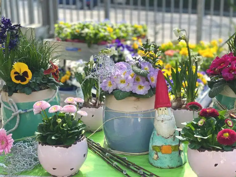 Ohne Blumen geht es nicht…🌸