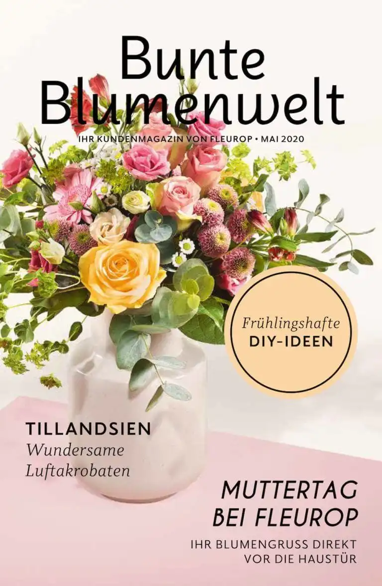 Bunte Blumenwelt 05/2020