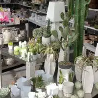 104473222 3210043355713639 2946004935542892773 o