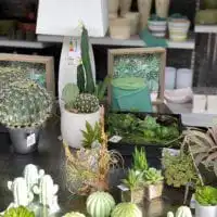 104496831 3210043522380289 7355745764165931684 o