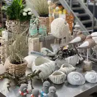 104589326 3210043619046946 2214812956959873769 o