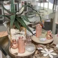 104754422 3210043112380330 9217070846095852653 o