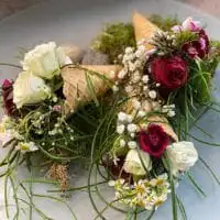 105040288 3218101428241165 3625243162055612912 o