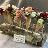 105279073 3218101508241157 5503614040916764363 o