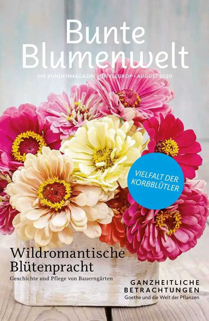 Bunte Blumenwelt 08/2020