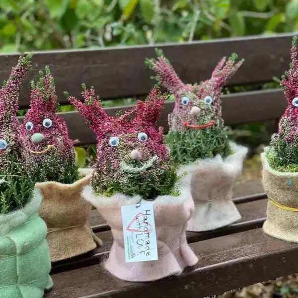 118762336 3426464830738156 7666232734611618052 o