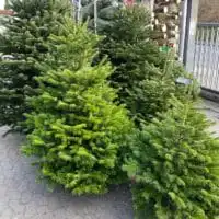 328c691c 6aa0 4023 8144 1d1e4838773e