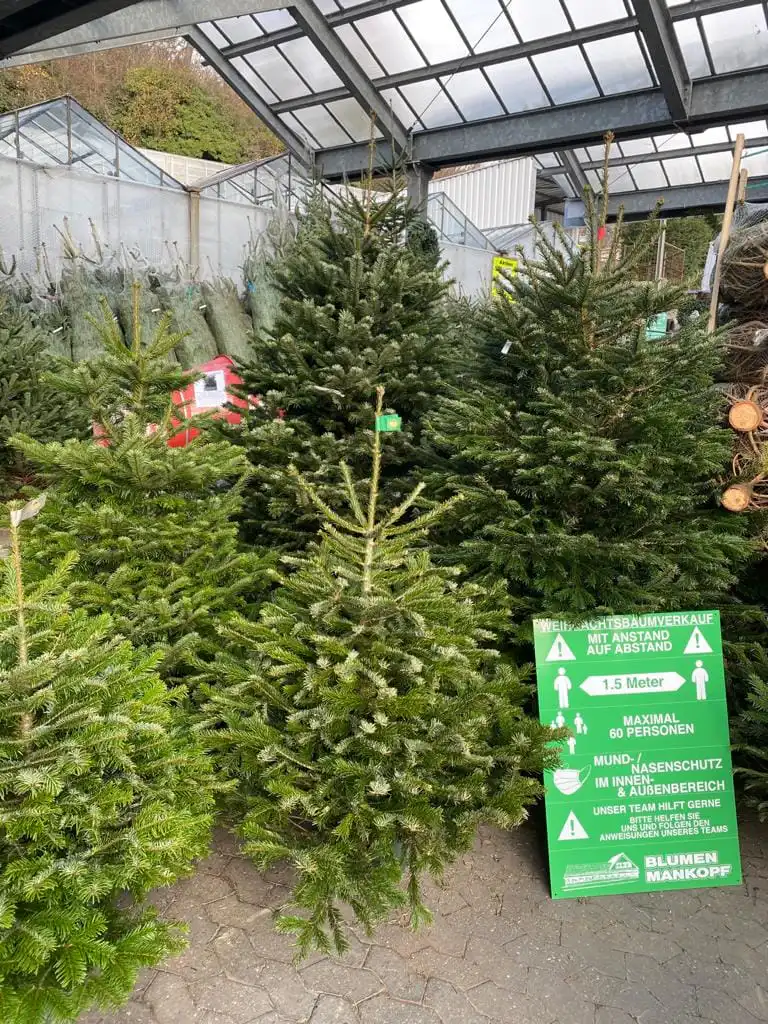 Großer Weihnachtsbaumverkauf mit Gewinnaktion