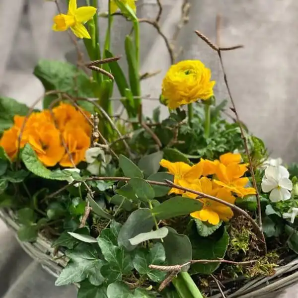 138601452 3818692784848690 676627521024306486 o