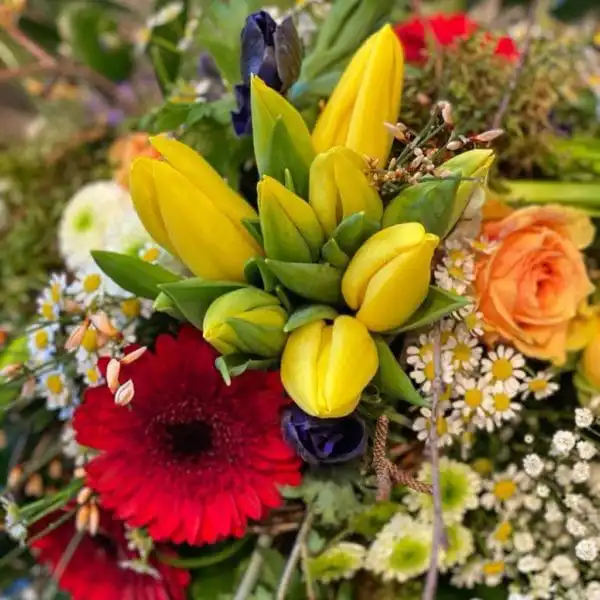 138672097 3818692778182024 2770379612083695004 o