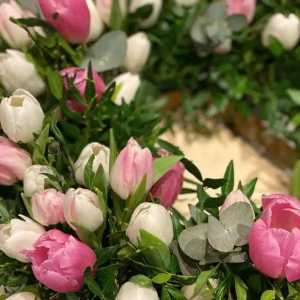 139167370 3818692774848691 6056801666333887726 o