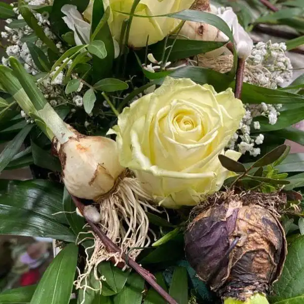 139675850 3818692781515357 9054559925543809578 o