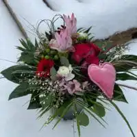 148731504 3878868608831107 1618834397198174169 o 2