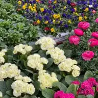 WhatsApp Image 2021 02 20 at 10.27.54 1