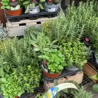 WhatsApp Image 2021 02 20 at 10.27.54 2